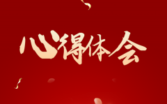 大学生十九届六中全会心得精选好段200字素材