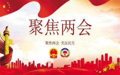 2020全国两会精神心得体会10篇_两会重要精神内容有感