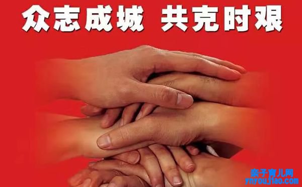 2020新型冠状病毒肺炎疫感情想和心得体会