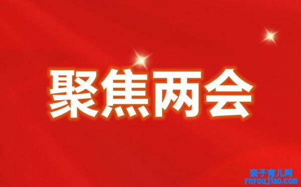 2022年全国两会精力心得体会200字范文