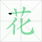 花枝招展的拼音 解答花枝招展的拼音及花枝招展的意思