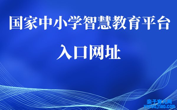 国度中小学网络云平台免费网课进口
