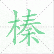 榛的读音 解答榛的读音是什么及榛树中榛的读音！
