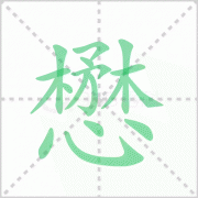 懋的读音 解答懋的读音是什么及罗懋登的懋的读音！