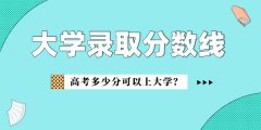 上海兴伟学院录取分数线2022是多少分（含2021-2022历年）
