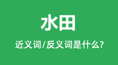 水田的近义词和反义词是什么_水田是什么意思？