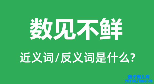 数见不鲜的近义词和反义词是什么,数见不鲜是什么意思