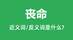 丧命的近义词和反义词是什么＿丧命是什么意思？