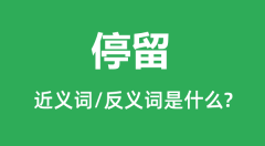 停留的近义词和反义词是什么_停留是什么意思?