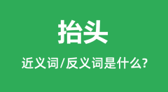 <b>抬头的近义词和反义词是什么_抬头是什么意思?</b>