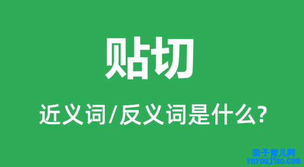 贴切的近义词和反义词是什么,贴切是什么意思