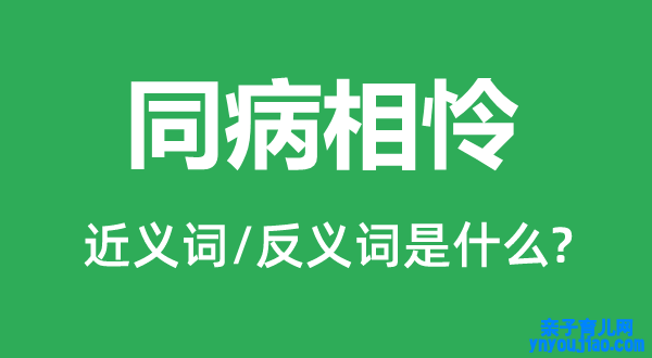 同病相怜的近义词和反义词是什么,同病相怜是什么意思