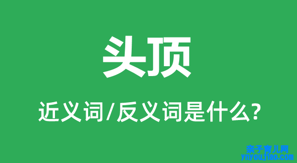 头顶的近义词和反义词是什么,头顶是什么意思