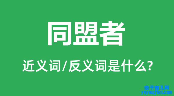联盟者的近义词和反义词是什么,联盟者是什么意思