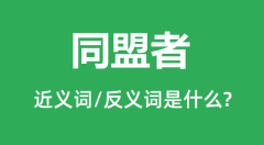 同盟者的近义词和反义词是什么_同盟者是什么意思?
