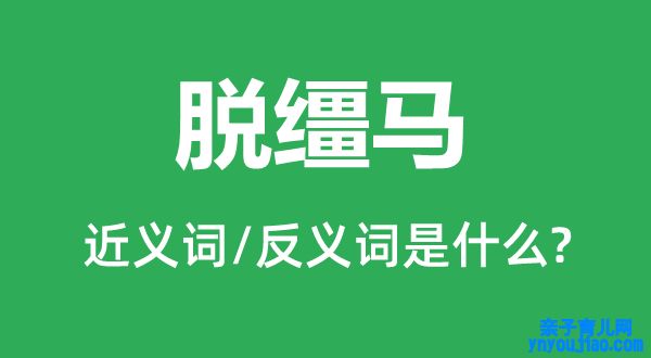 脱缰马的近义词和反义词是什么,脱缰马是什么意思