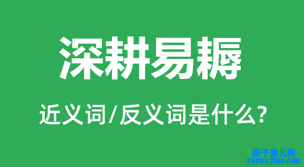 深耕易耨的近义词和反义词是什么,深耕易耨是什么意思