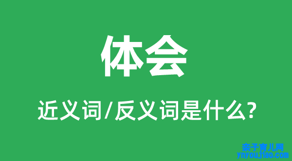 体会的近义词和反义词是什么,体会是什么意思