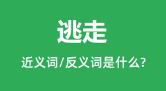 逃走的近义词和反义词是什么_逃走是什么意思?