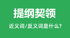 提纲契领的近义词和反义词是什么_提纲契领是什么意思?