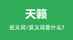 天籁的近义词和反义词是什么_天籁是什么意思?