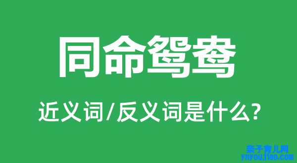 患难夫妻的近义词和反义词是什么,患难夫妻是什么意思