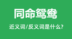 同命鸳鸯的近义词和反义词是什么_同命鸳鸯是什么意思?