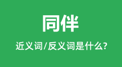 同伴的近义词和反义词是什么＿同伴是什么意思？