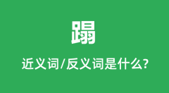 蹋的近义词和反义词是什么_蹋是什么意思?