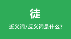 徒的近义词和反义词是什么_徒是什么意思?