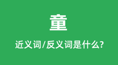 <b>童的近义词和反义词是什么_童是什么意思?</b>