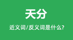 天分的近义词和反义词是什么＿天分是什么意思？