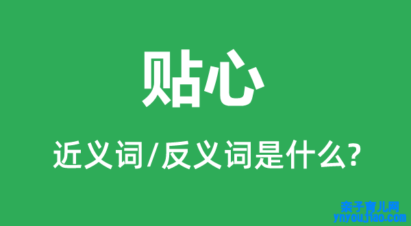 贴心的近义词和反义词是什么,贴心是什么意思