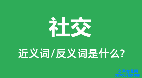 社交的近义词和反义词是什么,社交是什么意思
