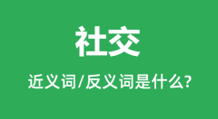 社交的近义词和反义词是什么_社交是什么意思?