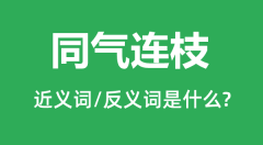 同气连枝的近义词和反义词是什么_同气连枝是什么意思?