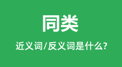 同类的近义词和反义词是什么_同类是什么意思?