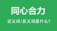同心合力的近义词和反义词是什么_同心合力是什么意思?