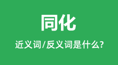 同化的近义词和反义词是什么_同化是什么意思？