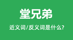 堂兄弟的近义词和反义词是什么_堂兄弟是什么意思?
