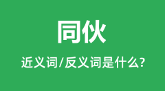 同伙的近义词和反义词是什么_同伙是什么意思?