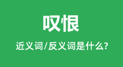 叹恨的近义词和反义词是什么_叹恨是什么意思？