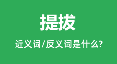 提拔的近义词和反义词是什么_提拔是什么意思？
