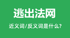 逃出法网的近义词和反义词是什么_逃出法网是什么意思？