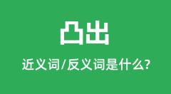 凸出的近义词和反义词是什么_凸出是什么意思?