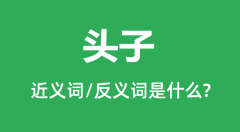 头子的近义词和反义词是什么_头子是什么意思?