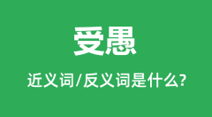 受愚的近义词和反义词是什么_受愚是什么意思?