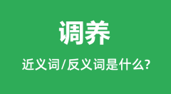 调养的近义词和反义词是什么_调养是什么意思?