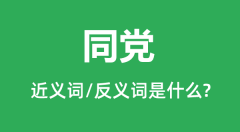 同党的近义词和反义词是什么_同党是什么意思?