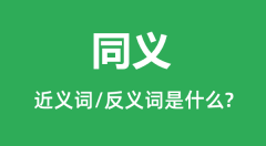 同义的近义词和反义词是什么_同义是什么意思?